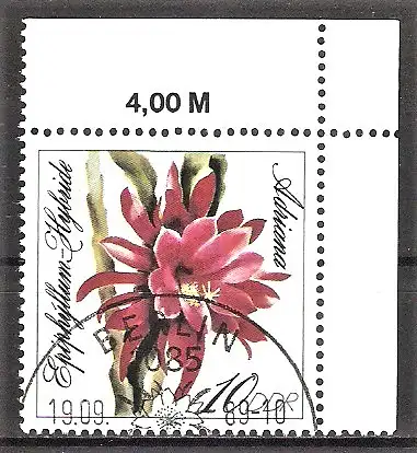 Briefmarke DDR Mi.Nr. 3276 o Bogenecke oben rechts / Blattkakteenzüchtungen 1989 - Epiphyllum-Hybride „Adriana“