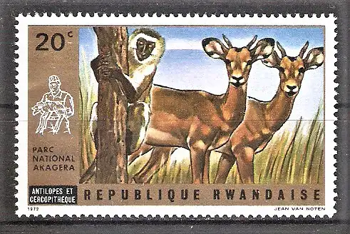 Briefmarke Ruanda Mi.Nr. 487 A ** Akagera-National-Park 1972 / Antilopen & Meerkatze