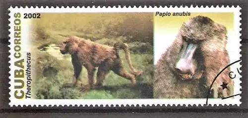 Briefmarke Cuba Mi.Nr. 4488 o Theropithecus & Anubispavian (Papio anubis)