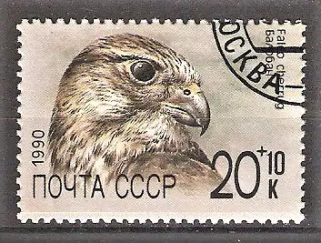 Briefmarke Sowjetunion Mi.Nr. 6080 o Würgfalke (Falco cherrug)