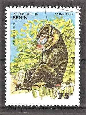 Briefmarke Benin Mi.Nr. 639 o Mandrill (Mandrillus sphinx)