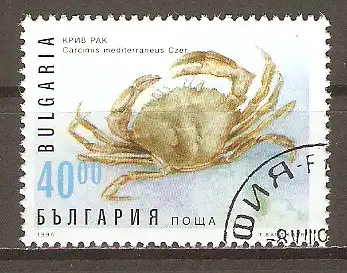 Briefmarke Bulgarien Mi.Nr. 4243 o Krebstiere 1996 / Mittelmeer-Strandkrabbe (Carcinus mediterraneus) #2024106