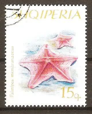 Briefmarke Albanien Mi.Nr. 1060 o Stachelhäuter 1966 / Gänsefuß-Seestern (Palmipes membranaceus) #2024226