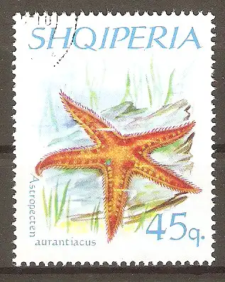 Briefmarke Albanien Mi.Nr. 1063 o Stachelhäuter 1966 / Mittelmeer- Kammstern (Astropecten aurantiacus) #2024228