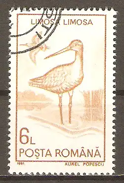 Briefmarke Rumänien Mi.Nr. 4650 o Vögel 1991 / Uferschnepfe (Limosa limosa) #2024332