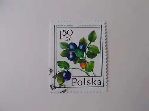 Polen Nr 2490 gestempelt