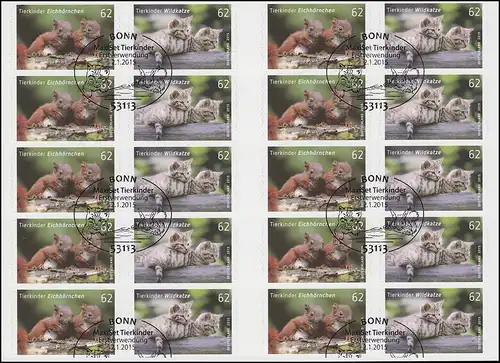 FB 44 Tierkinder Eichhörnchen und Wildkatze, Folienblatt mit 5x 3129-3130, EV-O
