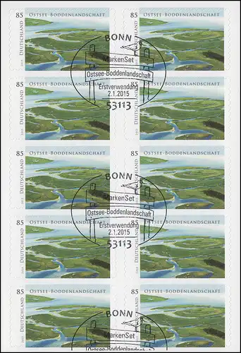 FB 45 Ostsee - Boddenlandschaft, Folienblatt mit 10x 3131, EV-O Bonn