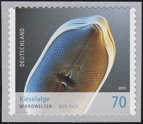 3205 Kieselalge selbstklebend aus Rolle mit rückseitiger Nummer 5, **