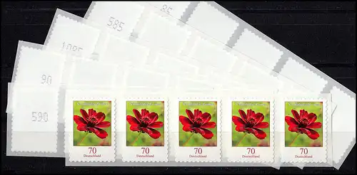 3197 Schoko-Kosmee SELBSTKLEBEND als 5er-Streifen - Nummern-Set postfrisch **