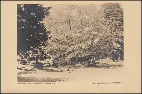 Carte de vue Feldberg / Schwarzwald Hotel und Pension Ebelhof, TISEE 5.1.26