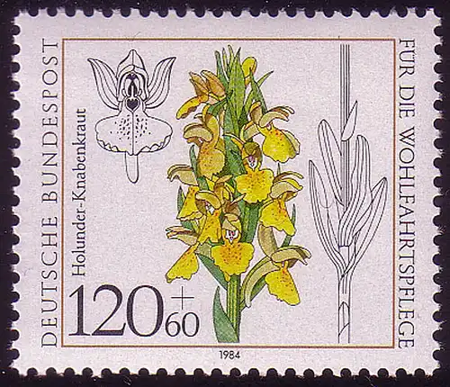 1228 Wohlfahrt Orchideen 120+60 Pf **