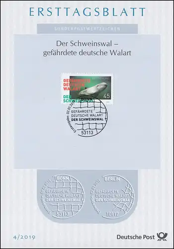 ETB 04/2019 Schweinswal, gefährdete Walart