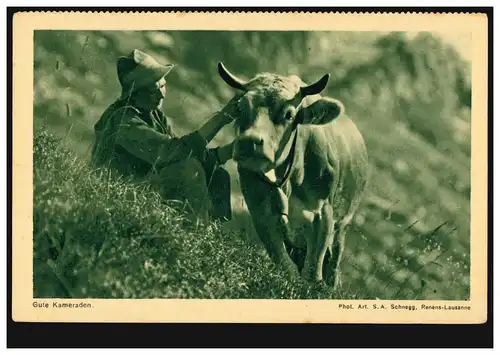 Foto-AK Gute Kameraden: Bauer mit Kuh auf der Alm, HERZOGENBUCHSEE 14.7.1930