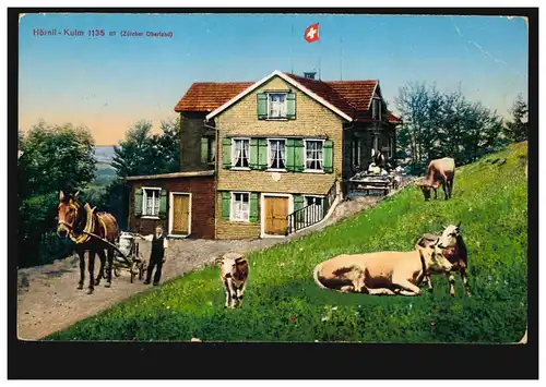 Schweiz AK Hörnli-Kulm 1135 m (Zürcher Oberland), STEG (ZÜRICH) 8.8.1921