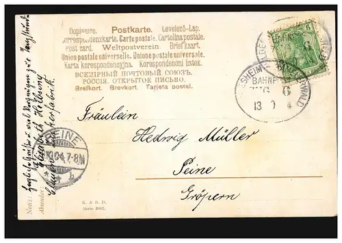 Bahnpost HILDESHEIM - HÄMELERWALD ZUG 6 -13.10.1904 auf AK Blumen Märzenbecher