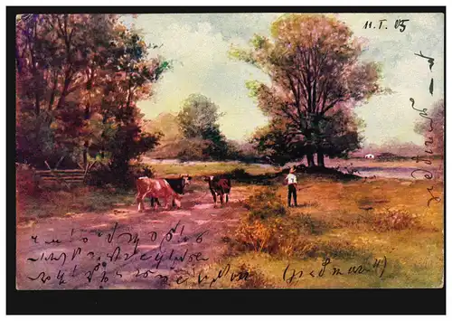 Künstler-AK Landschaft mit Kühen und Bauer, BRAUNSCHWEIG 11.1.1905 nach WÜRZBURG