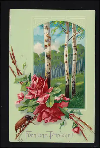 Tiere-AK Pfingsten Maikäfer mit Rosen und Birkenwald, MAXEN (PIRNA) 3.6.1911 