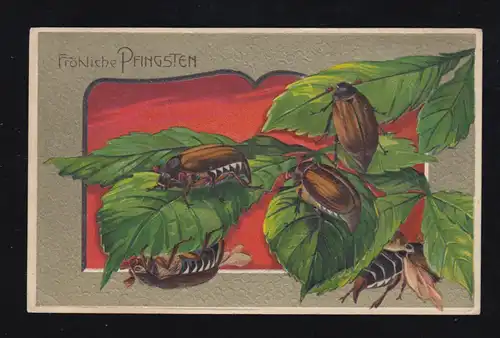 Animaux-AK Pentecôte Cinq Maikshakes avec branche, BRAMSCHE (BZ. OSNABRUCK) 10.5.1913