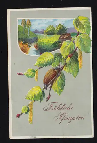 Animaux-AK Pentecôte Maikcäfer sur branche avec paysage, NORDENHAM 6.6.1908