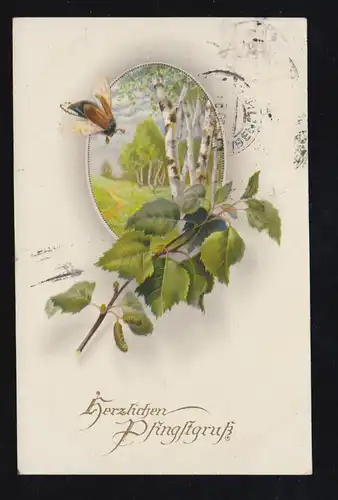 Tiere-AK Pfingsten Fliegender Maikäfer und Birkenwald, BERLIN S. 42 - 22.5.1920