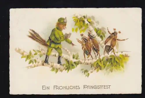 Tiere Pfingsten vermenschlichter Vogelsoldat, sing. Maikäfer, LÜSTRINGEN 26.5.26