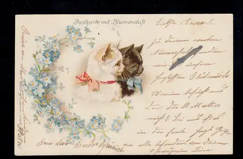 Carte postale avec parfum floral Animaux-AK Chat blanc et chat noir, TITTLING 1902