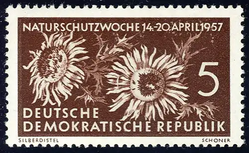 561 Naturschutzwoche 5 Pf Silberdistel **