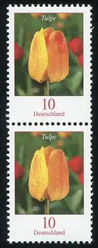 2484A Blume Tulpe: RM-Paar mit MDF gelbe Flecken unten rechts an der Blüte, **