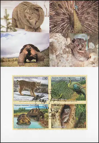 MK 66 von UNO Genf 409-412 Gefährdete Arten Fauna 2001, amtliche Maximumkarte