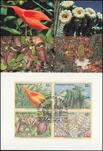 MK 38 de l'ONU New York 707-710 Espèces menacées Flora 1996, carte maximale