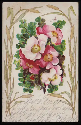 AK Rosa Blüten umgeben von Rohrkolben Gräsern, HANNOVER/ BURGDORF 24.7.1902