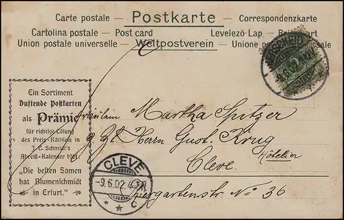 46 Ziffer 5 Pf als EF auf AK mit Blumenduft MERSCHEID 9.6.1902 nach CLEVE 9.6.