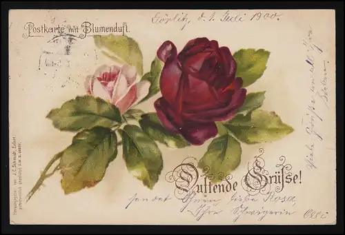 AK DUFTENDE GRÜSSE rote Rose J.C. Schmidt GÖRLITZ/ HAMBURG HAMM-HORN 1./2.7.1900