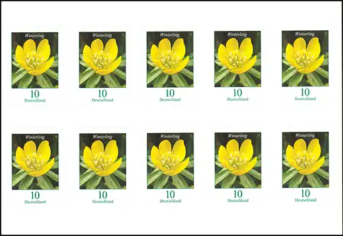 FB 81II Fleur Winterling 10 cents, feuille de 10x 3430II, frais de port **