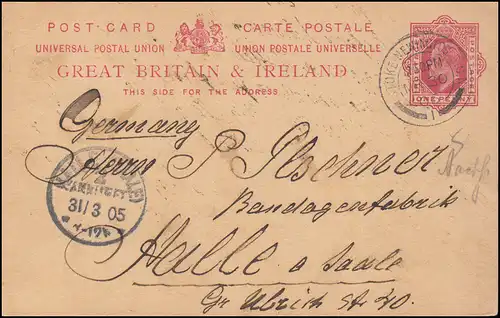 Royaume-Uni Carte postale P 31 Eduard VII de Londres - STOKE NEWINGTON 30.3.1905
