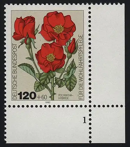 1153 Rose de jardin de bien-être 120+60 Pf ** FN1