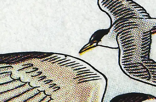 1540 Seevögel Zwergseeschwalbe mit PLF schwarzer Fleck im Flügel, Feld 50, **