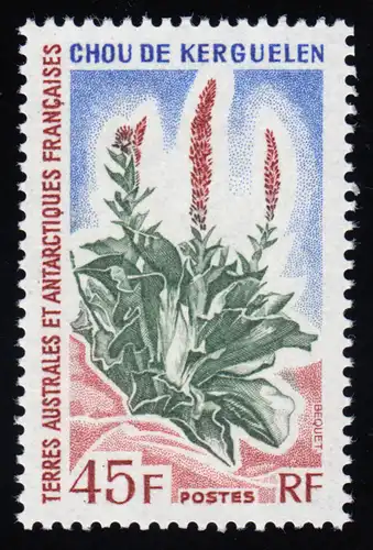 Antarktis französisch - 81 Kerguelenkohl, postfrisch / MNH **