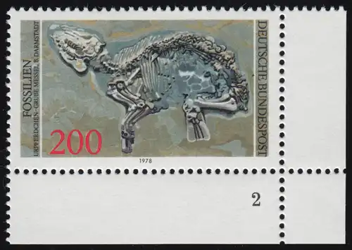 975 fossiles 200 pf hippopotames ** FN2