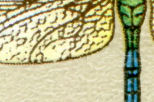 1549 Mosaikjungfer im Viererblock-ZD mit PLF fehlende Punkte, Feld 14, **