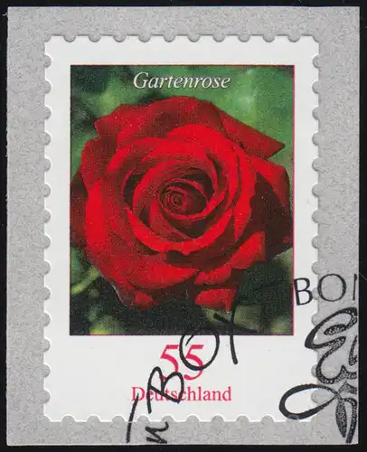 2675 Gartenrose SELBSTKLEBEND aus Rolle O