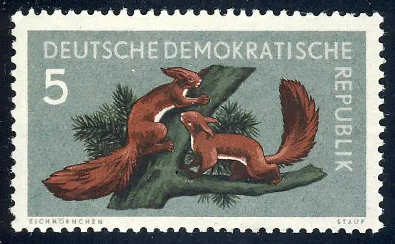 737 Waldtiere Eichhörnchen 5 Pf ** postfrisch