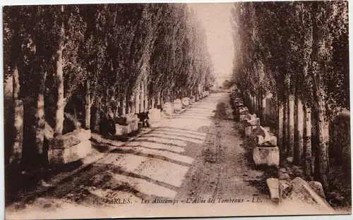 Arles - Allée des Aliscamps