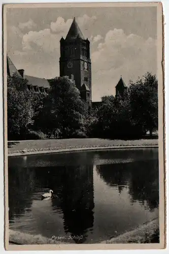 Posen. Schloss, Poznan