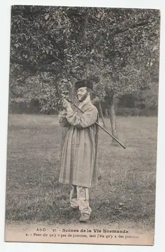 Scenes de la Vie Normande Pour dir gu y a pas de pommes, moi j dis gu y