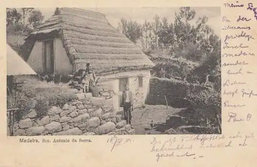 Madère: 1901: post card to Herford