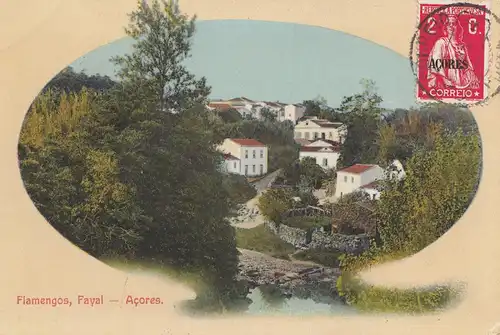 Acores post card Flamengos Fayal to Steinhof