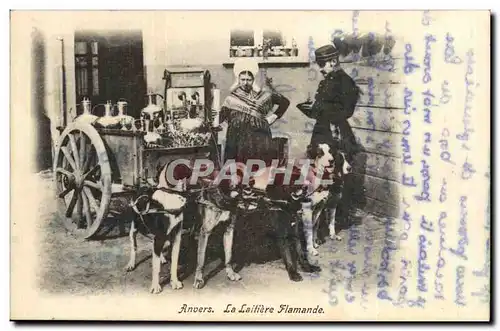 Belgique Belgie Anvers Cartes postales La laitiere flamande