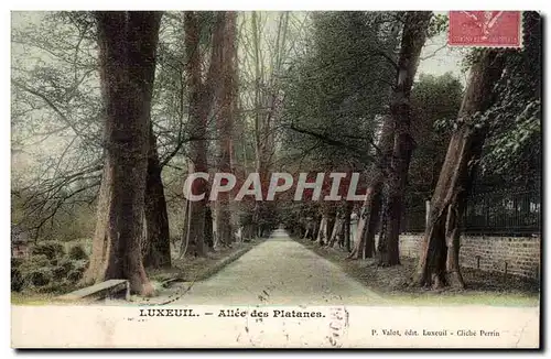 Luxeuil Cartes postales Allee des platanes